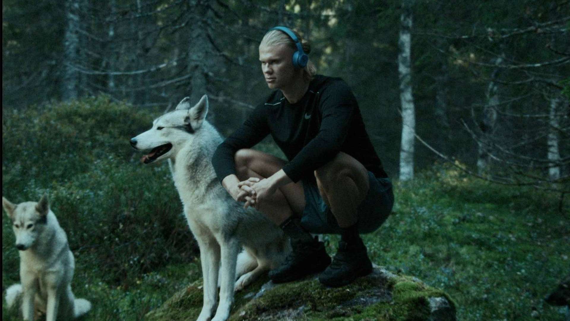 英超裁判報告： 球員質疑判罰被警告飆升233.3% 群體對抗徹底銷聲匿跡.